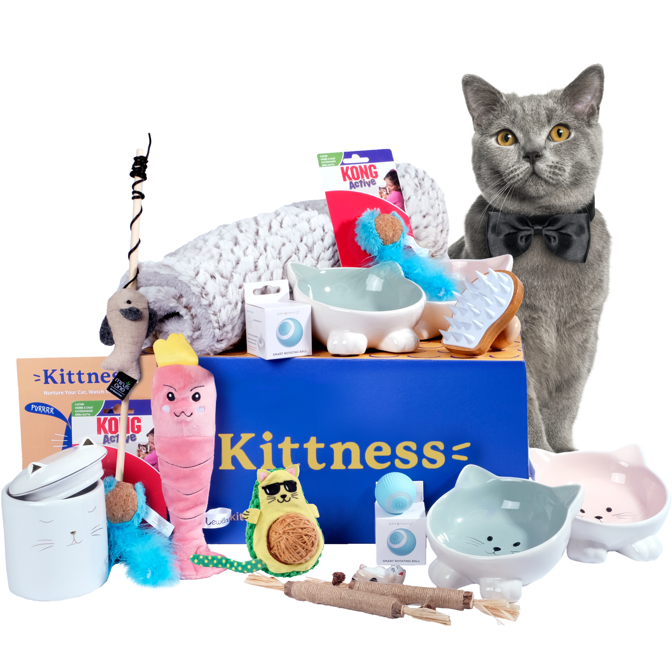Cat subscription deals