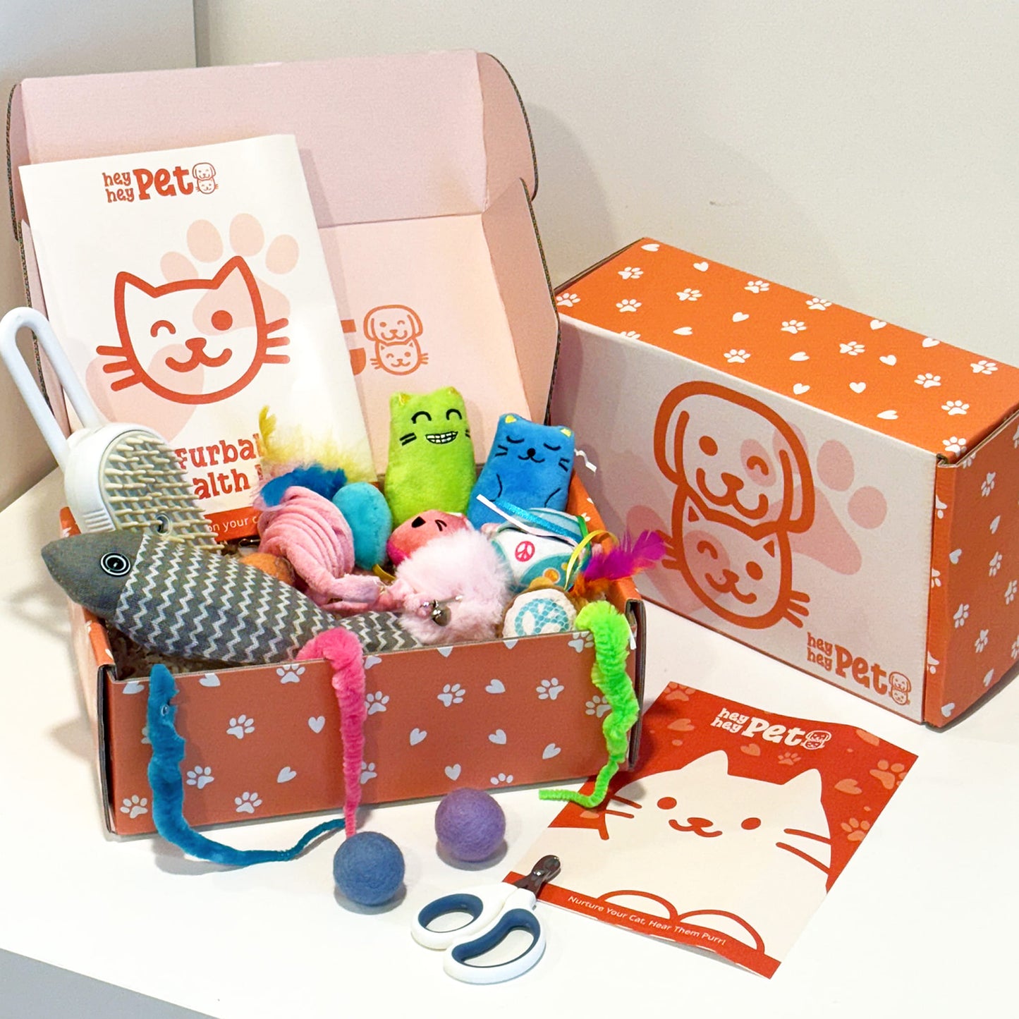 HeyHey Pet Cat Subscription Box