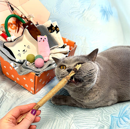 HeyHey Pet Cat Subscription Box