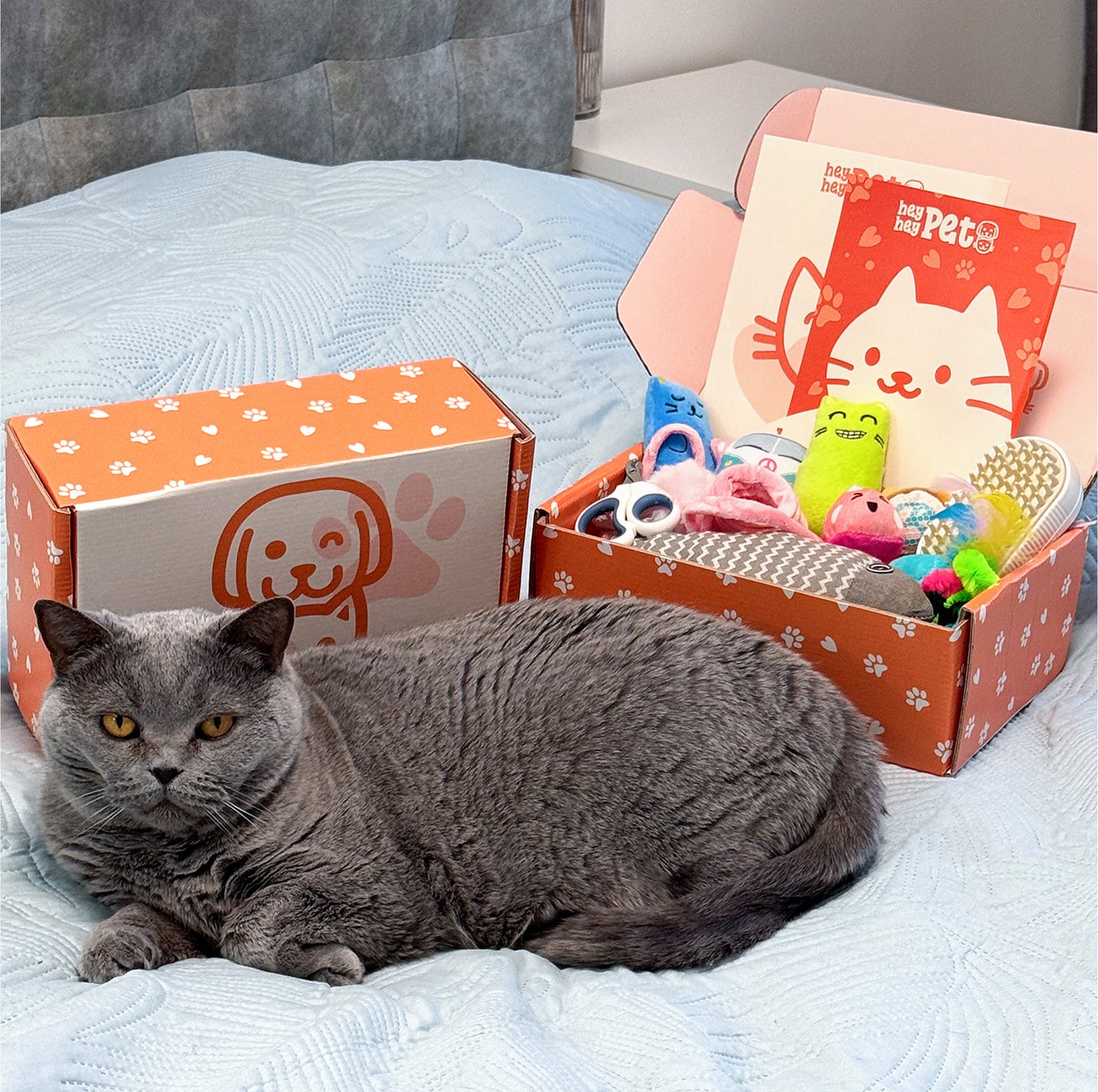 HeyHey Pet Cat Subscription Box