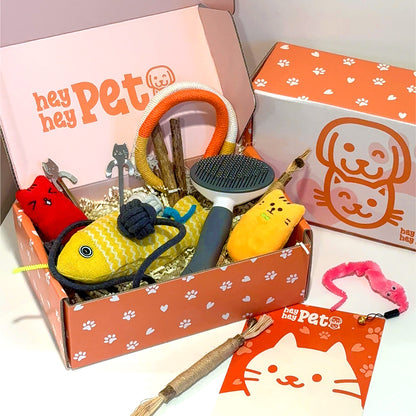 HeyHey Pet Cat Subscription Box