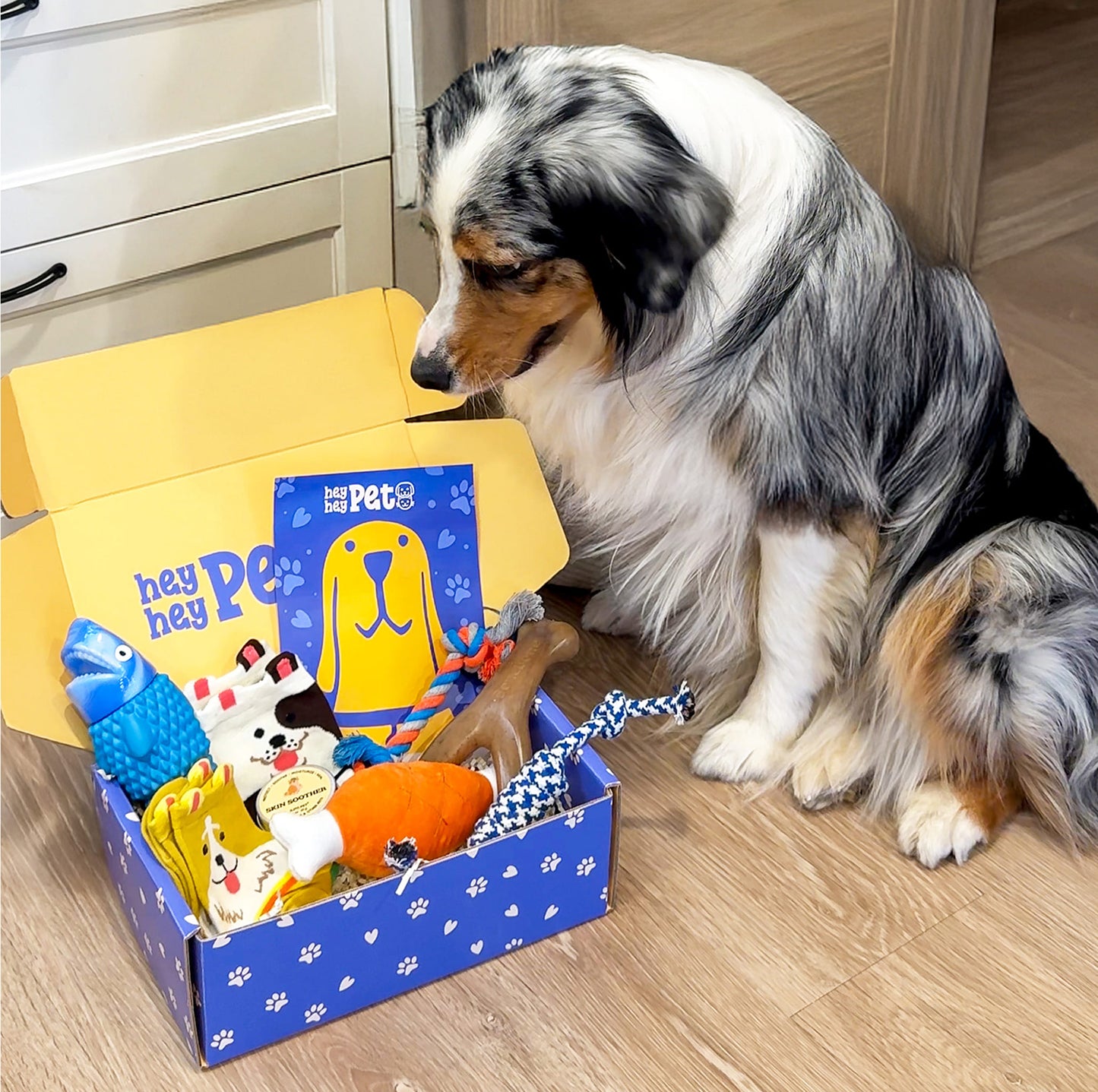 HeyHey Pet Subscription Box